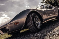 Stingray