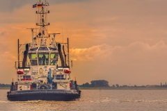 schlepper