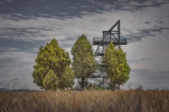 Aussichtsturm_2