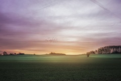the_day_awakens