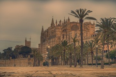 Palma-cathedral_2