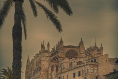 Palma-cathedral_3