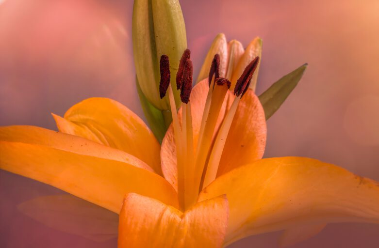 Über mich und mein Hobby